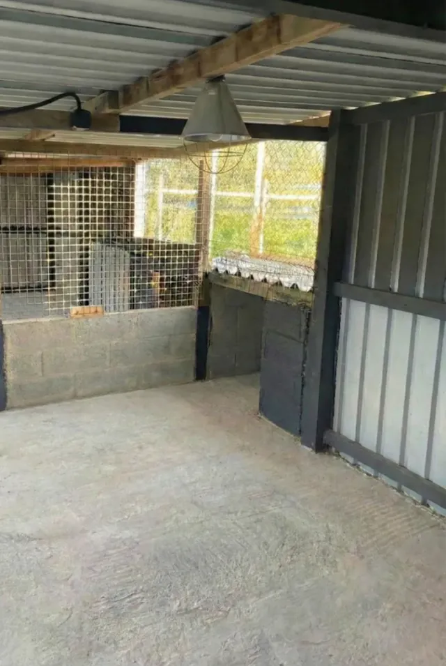 Grand box de 15m² spacieux à La Pension d'Isa - idéal pour grands chiens