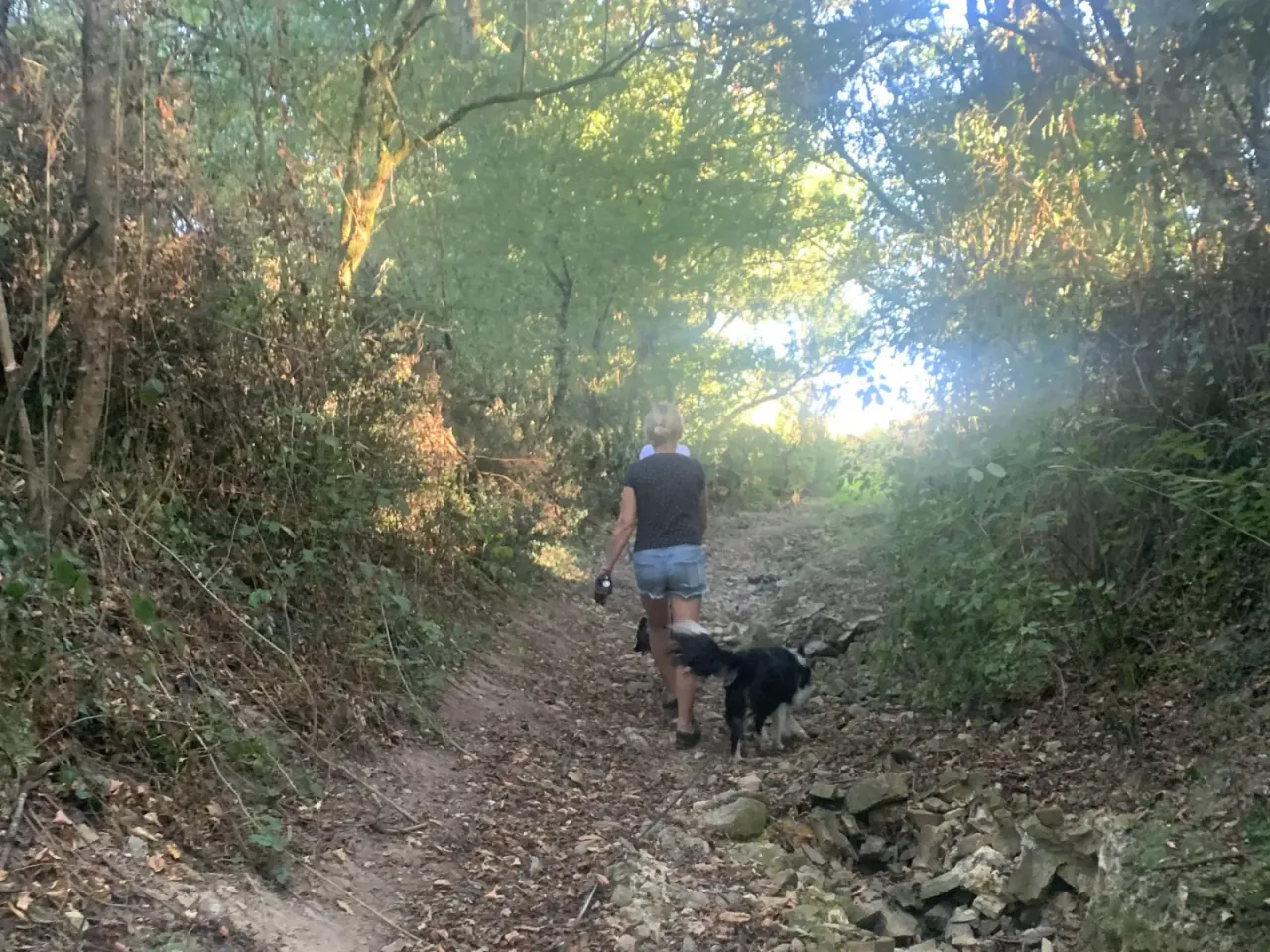 Promenade en campagne près de Carquefou